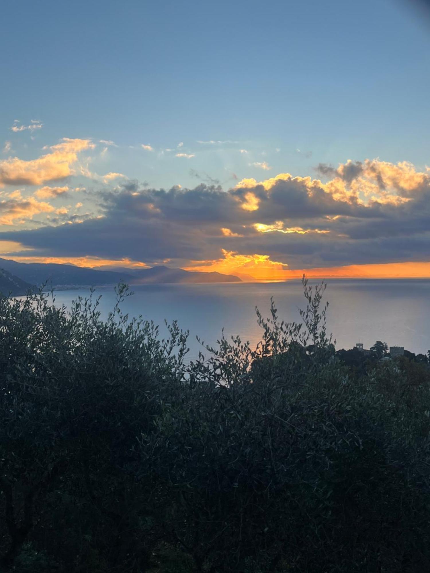 La Conchiglia Bed & Breakfast Camogli Bagian luar foto