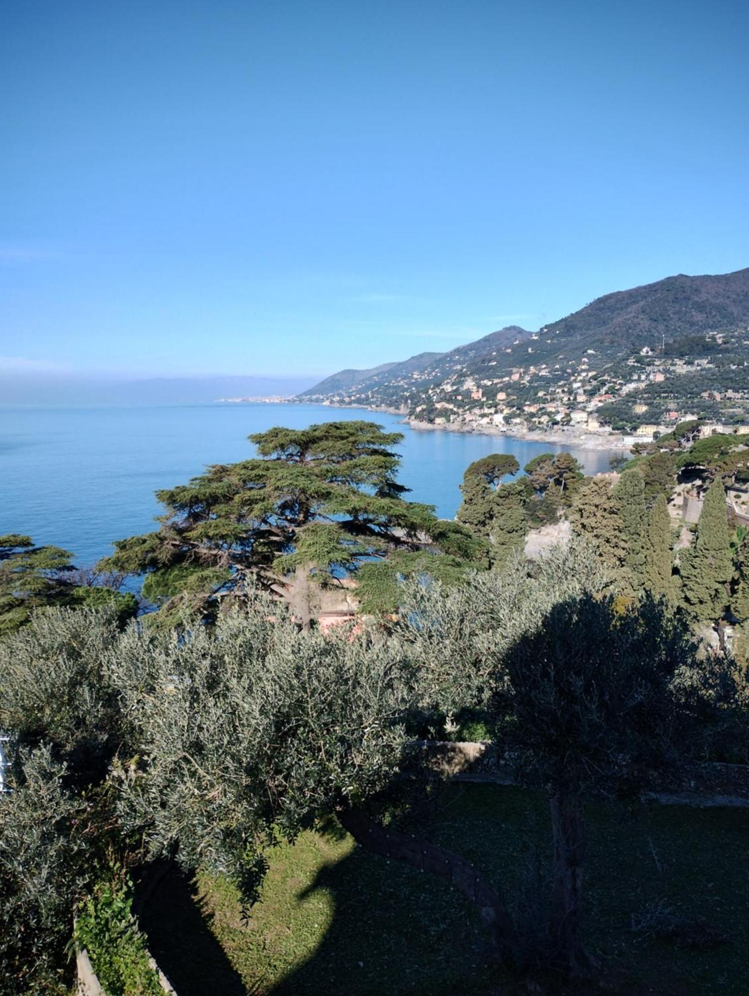 La Conchiglia Bed & Breakfast Camogli Bagian luar foto